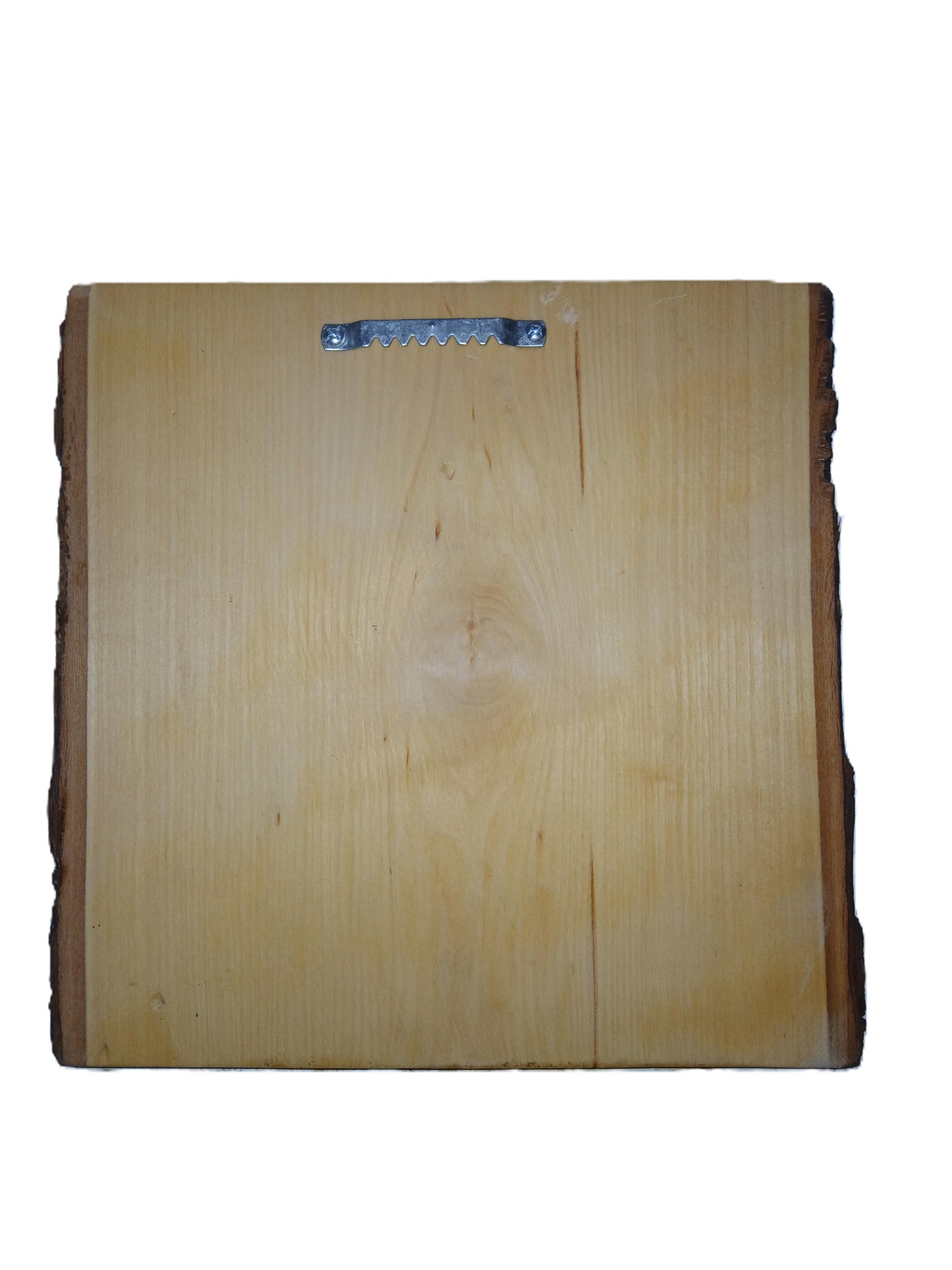 Pig in Mud burned into Live Edge Basswood