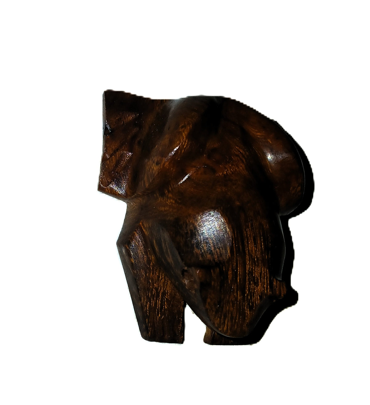 Frog carved from Ironwood