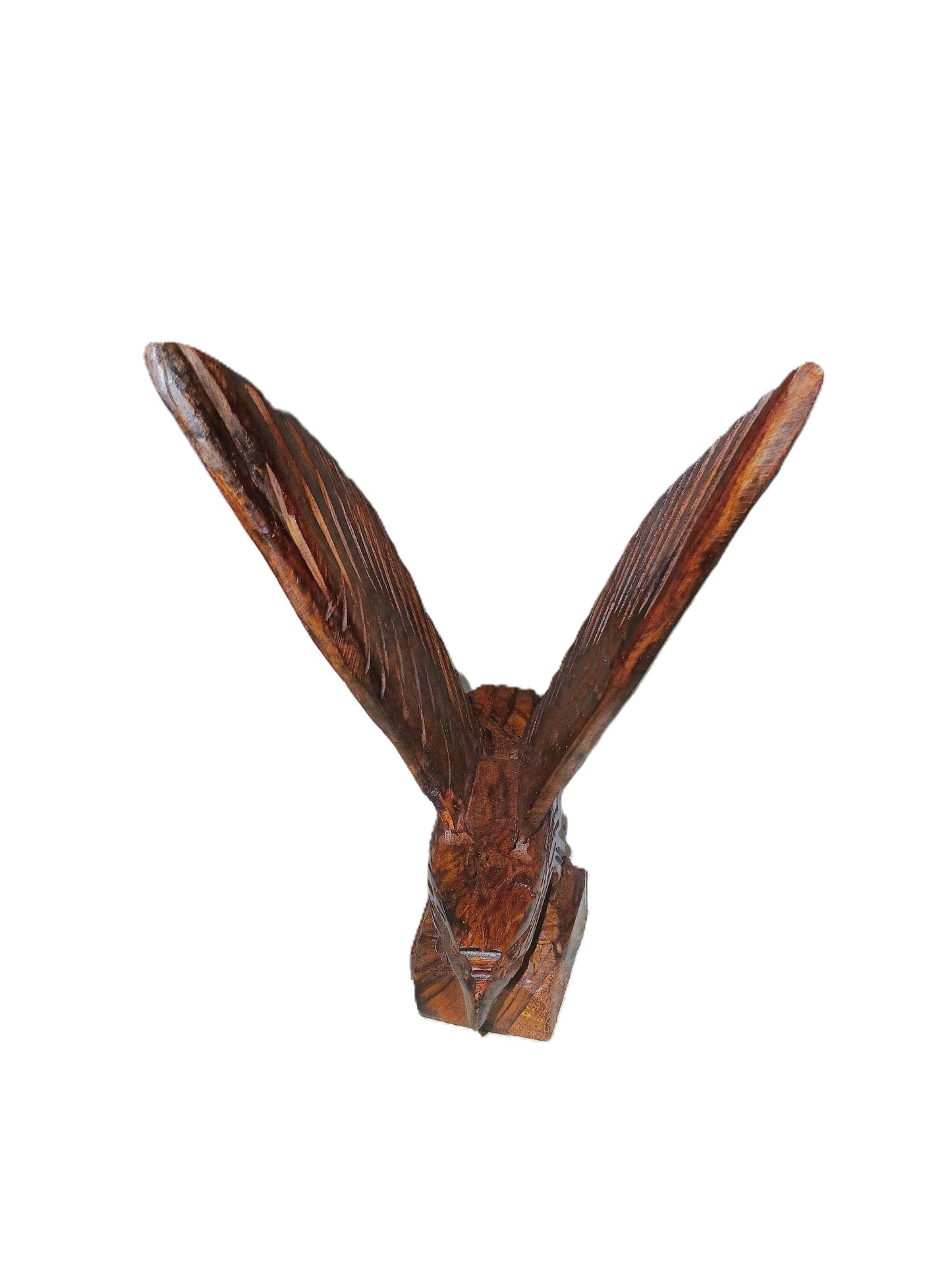 Eagle carved from Desert Ironwood