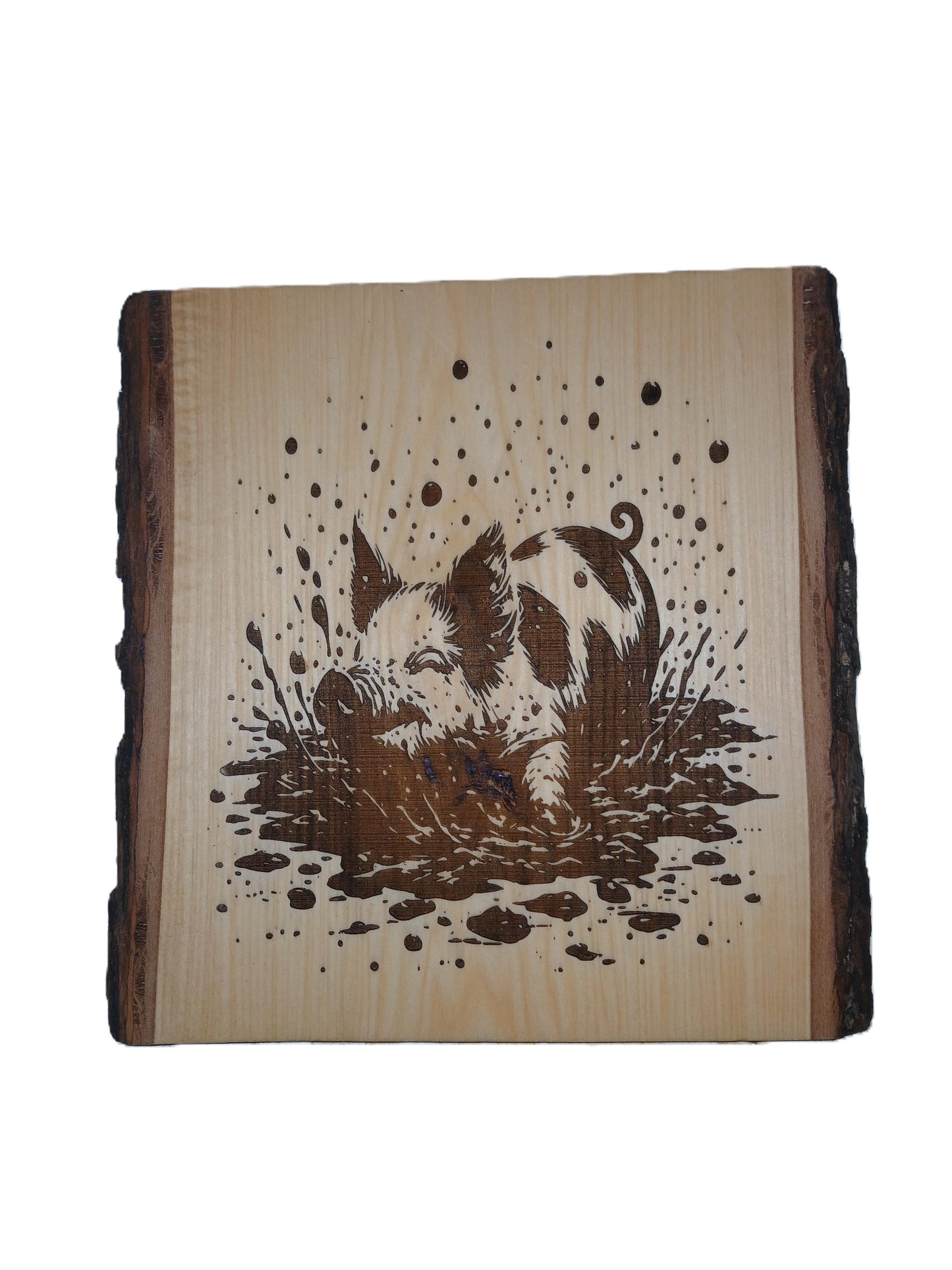 Pig in Mud burned into Live Edge Basswood