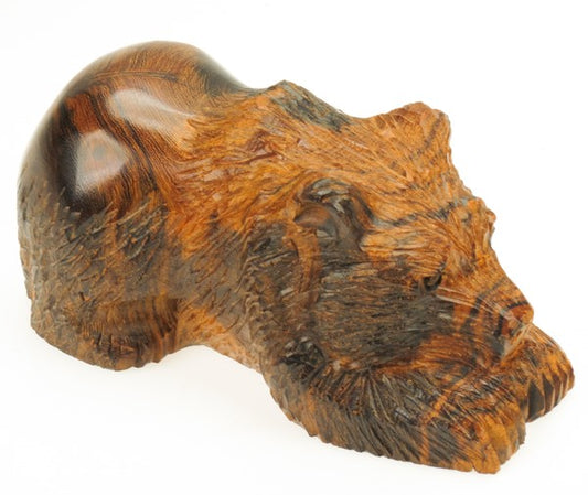 Detailed Resting Bear