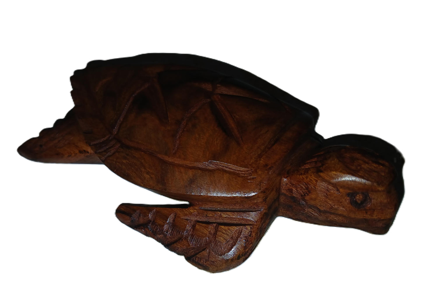 Sea Turtle Carved from desert ironwood