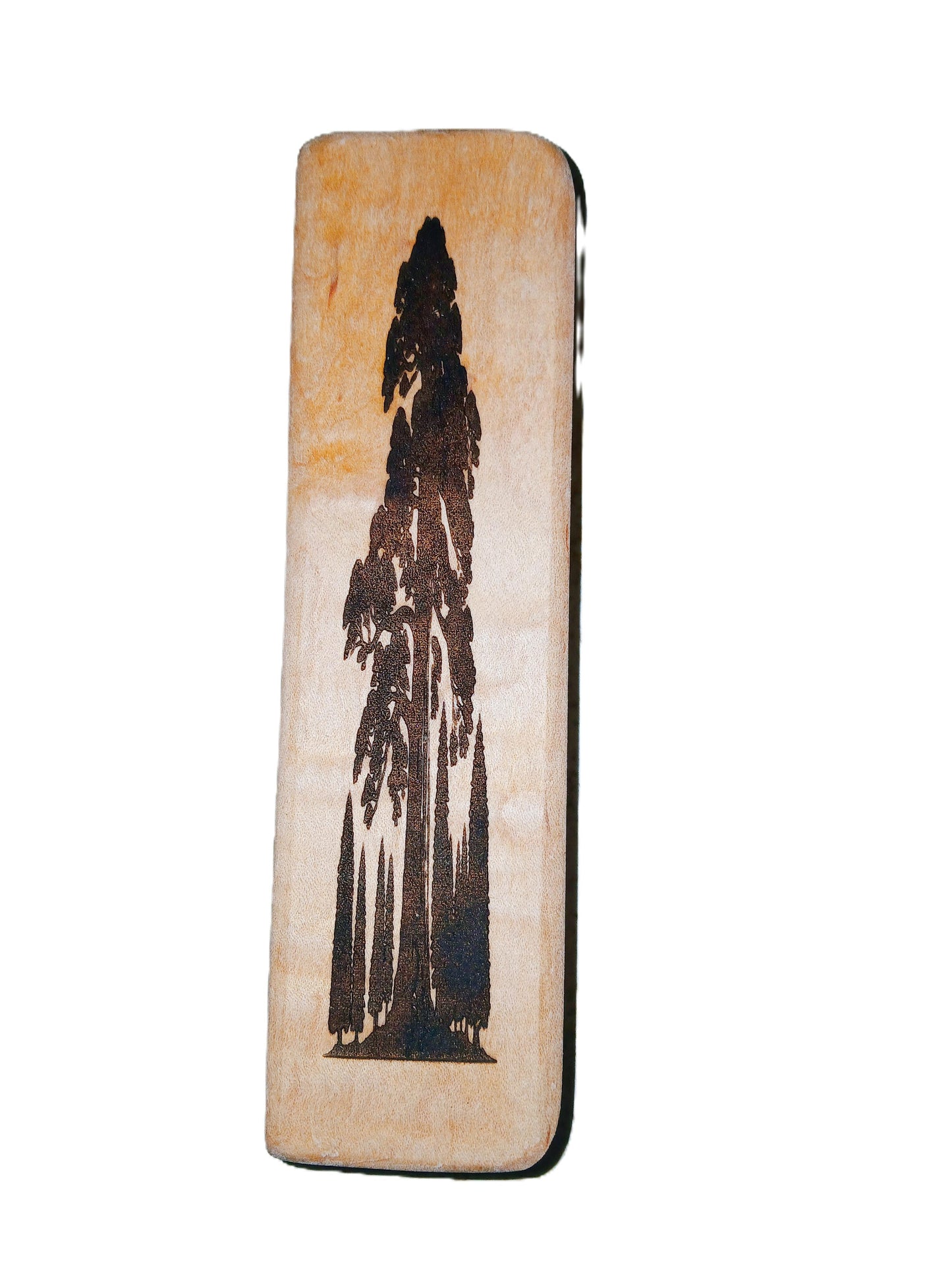 Redwood Burl Wood Pen and Case